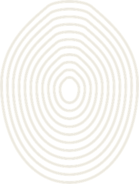 OLIVO